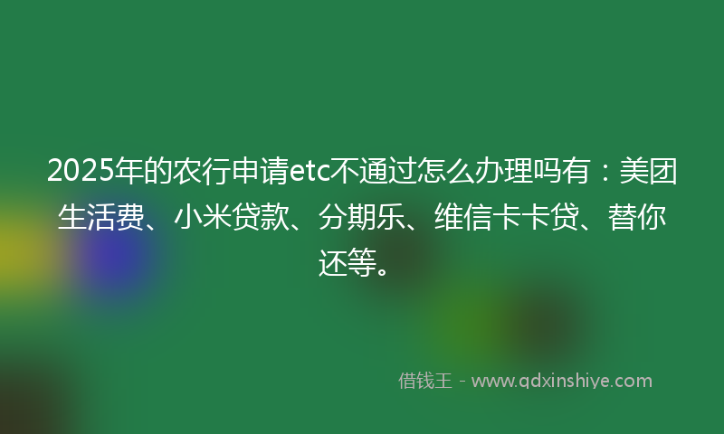 2025年的农行申请etc不通过怎么办理吗有：美团生活费、小米贷款、分期乐、维信卡卡贷、替你还等。