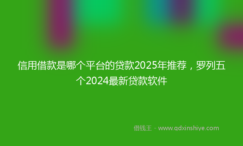 信用借款是哪个平台的贷款2025年推荐，罗列五个2024最新贷款软件