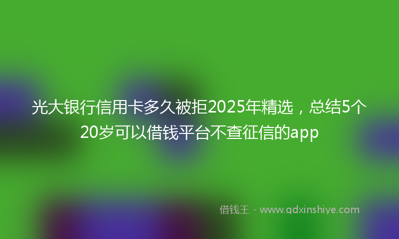 光大银行信用卡多久被拒2025年精选，总结5个20岁可以借钱平台不查征信的app