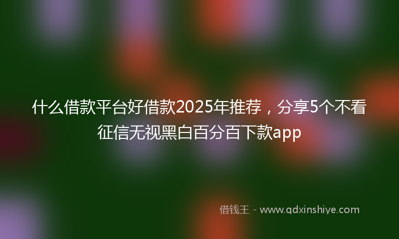 什么借款平台好借款2025年推荐，分享5个不看征信无视黑白百分百下款app
