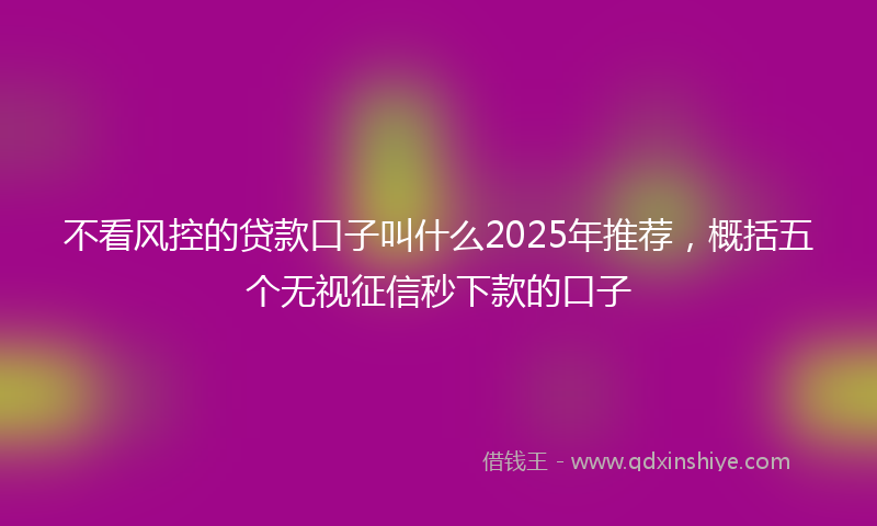 不看风控的贷款口子叫什么2025年推荐，概括五个无视征信秒下款的口子
