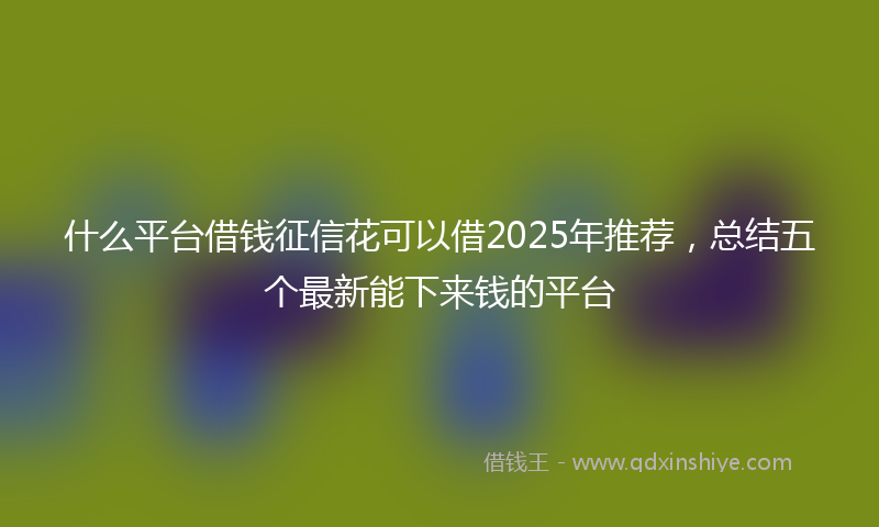 什么平台借钱征信花可以借2025年推荐，总结五个最新能下来钱的平台