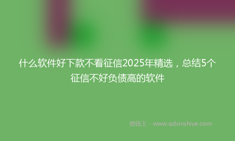 什么软件好下款不看征信2025年精选，总结5个征信不好负债高的软件