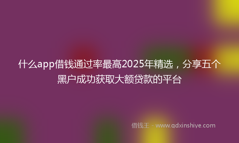 什么app借钱通过率最高2025年精选，分享五个黑户成功获取大额贷款的平台