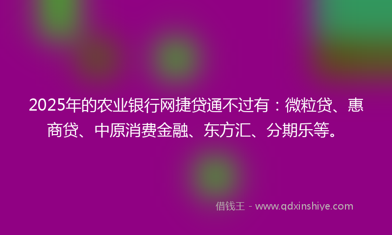 2025年的农业银行网捷贷通不过有：微粒贷、惠商贷、中原消费金融、东方汇、分期乐等。