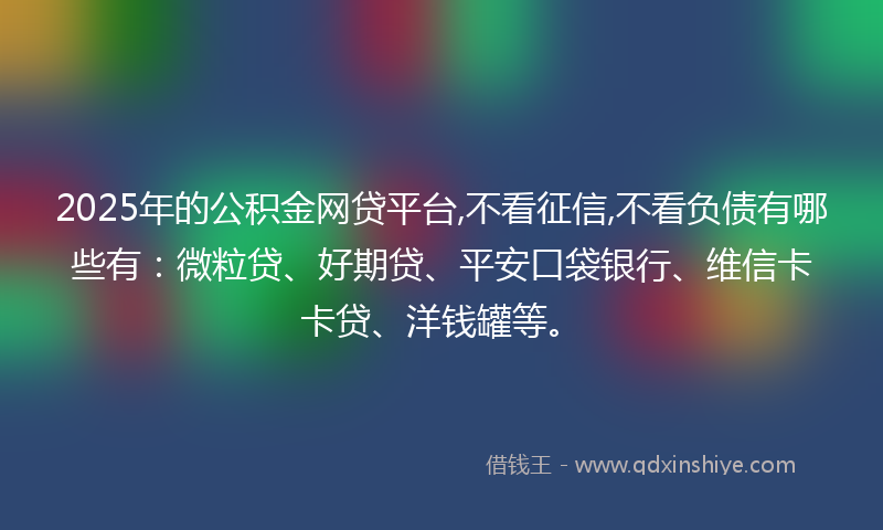 2025年的公积金网贷平台,不看征信,不看负债有哪些有：微粒贷、好期贷、平安口袋银行、维信卡卡贷、洋钱罐等。