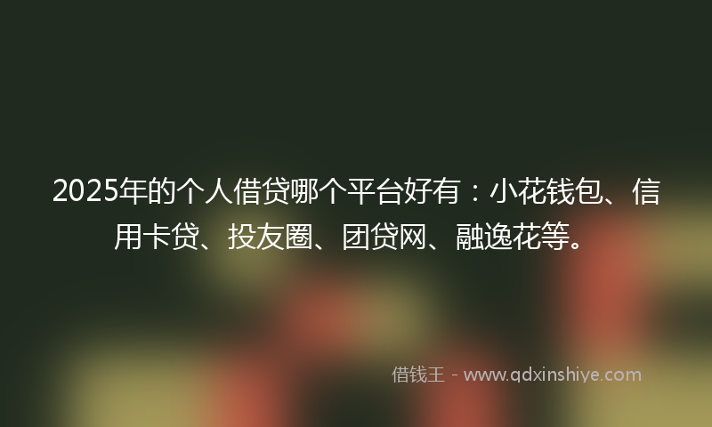 2025年的个人借贷哪个平台好有：小花钱包、信用卡贷、投友圈、团贷网、融逸花等。