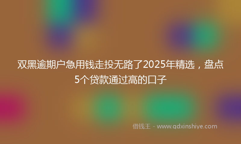 双黑逾期户急用钱走投无路了2025年精选，盘点5个贷款通过高的口子