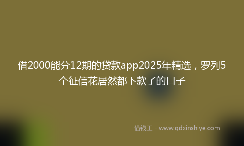 借2000能分12期的贷款app2025年精选，罗列5个征信花居然都下款了的口子