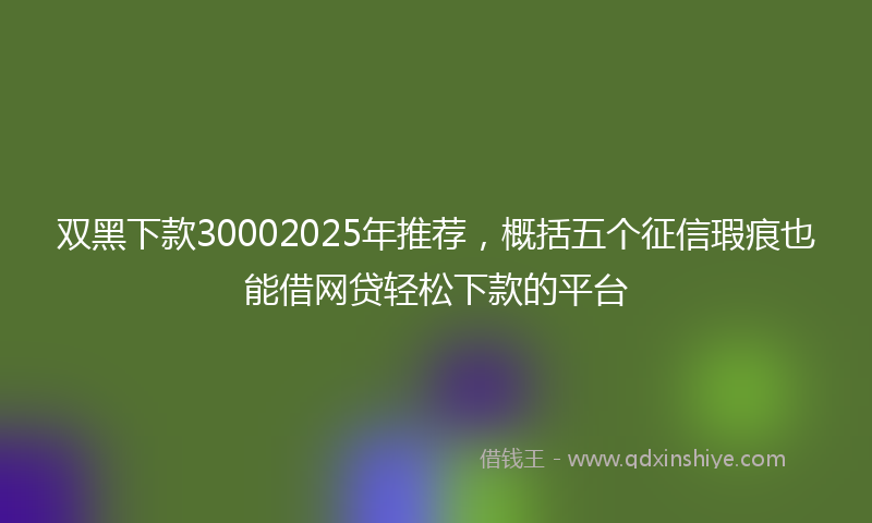 双黑下款30002025年推荐，概括五个征信瑕疵也能借网贷轻松下款的平台