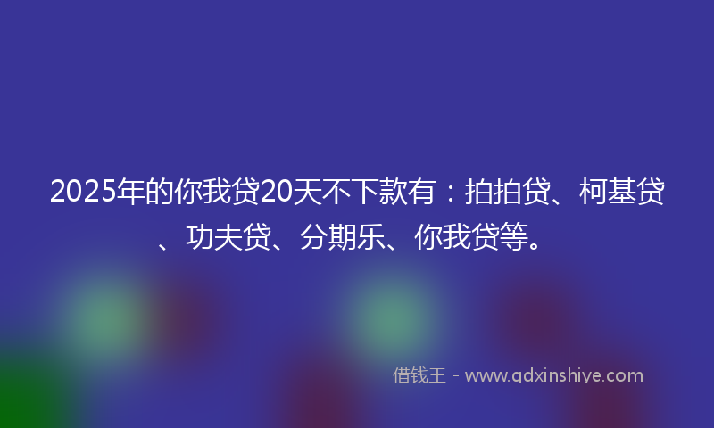 2025年的你我贷20天不下款有：拍拍贷、柯基贷、功夫贷、分期乐、你我贷等。