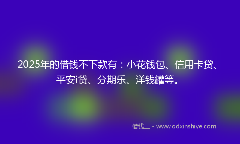 2025年的借钱不下款有：小花钱包、信用卡贷、平安i贷、分期乐、洋钱罐等。