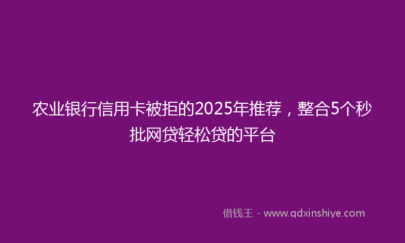 农业银行信用卡被拒的2025年推荐，整合5个秒批网贷轻松贷的平台