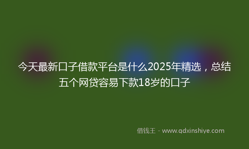 今天最新口子借款平台是什么2025年精选，总结五个网贷容易下款18岁的口子