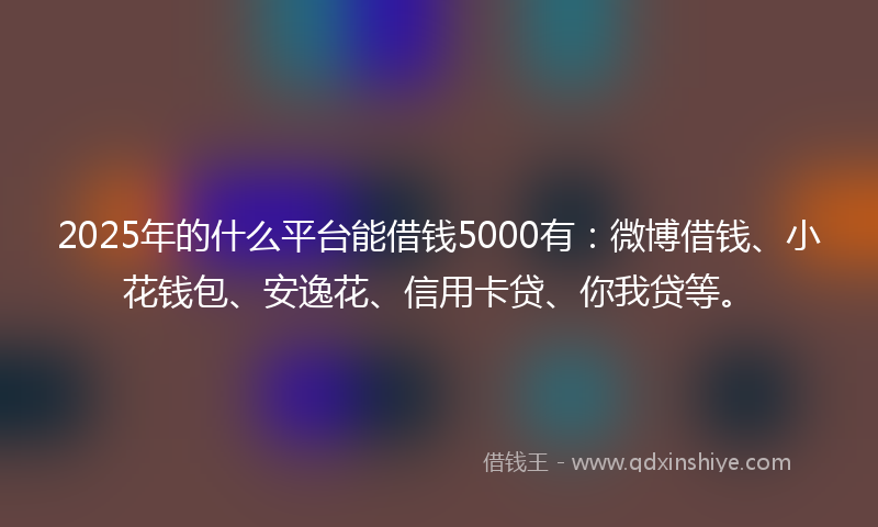 2025年的什么平台能借钱5000有：微博借钱、小花钱包、安逸花、信用卡贷、你我贷等。