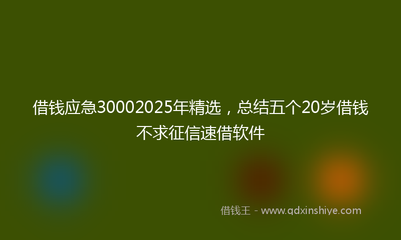 借钱应急30002025年精选，总结五个20岁借钱不求征信速借软件