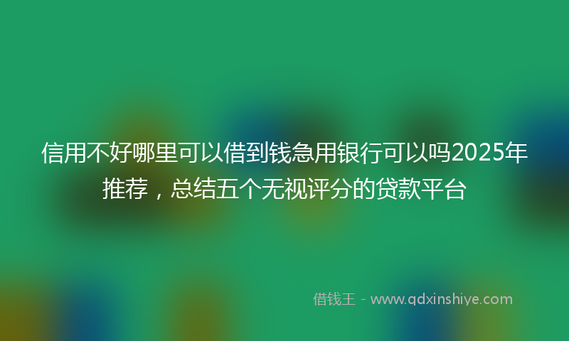 信用不好哪里可以借到钱急用银行可以吗2025年推荐，总结五个无视评分的贷款平台