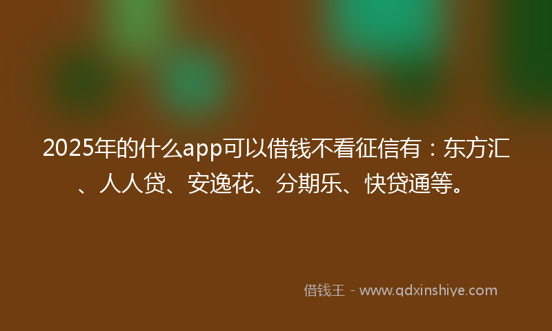 2025年的什么app可以借钱不看征信有：东方汇、人人贷、安逸花、分期乐、快贷通等。