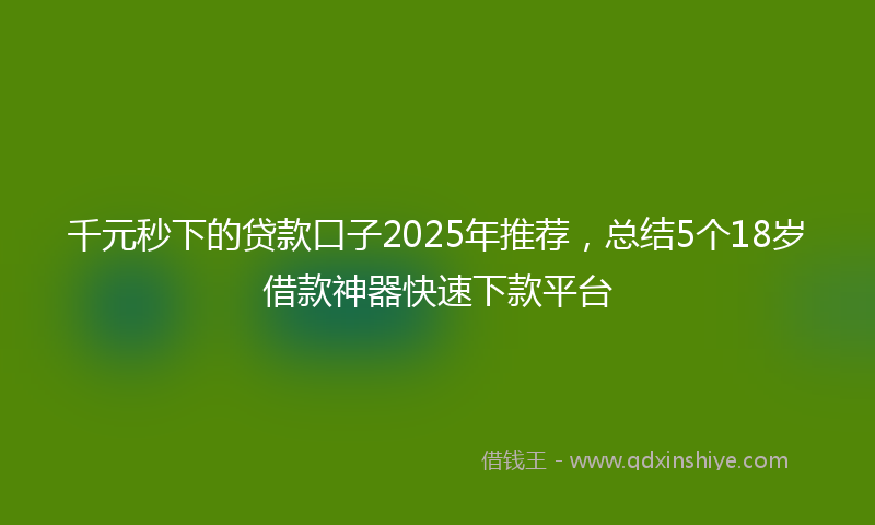千元秒下的贷款口子2025年推荐，总结5个18岁借款神器快速下款平台