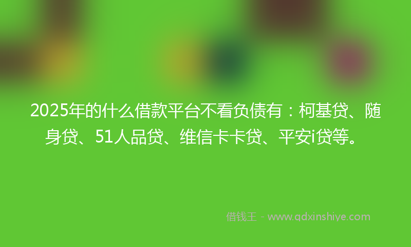2025年的什么借款平台不看负债有：柯基贷、随身贷、51人品贷、维信卡卡贷、平安i贷等。
