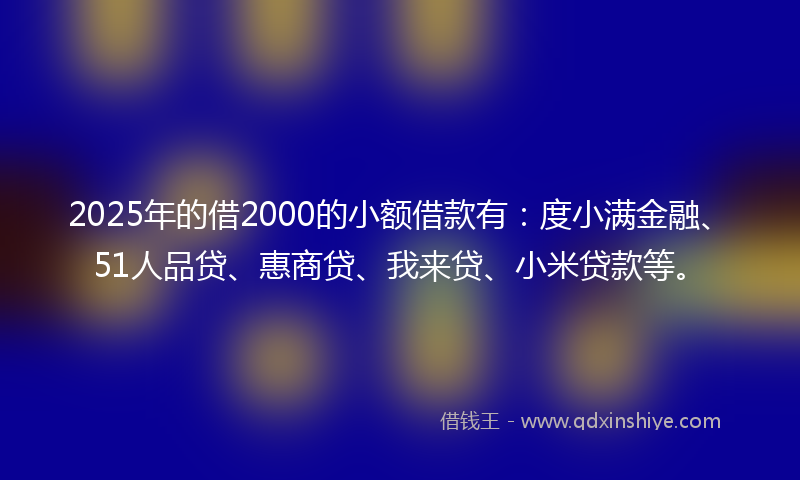 2025年的借2000的小额借款有：度小满金融、51人品贷、惠商贷、我来贷、小米贷款等。