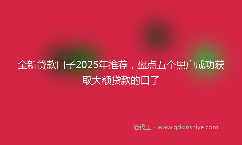 全新贷款口子2025年推荐，盘点五个黑户成功获取大额贷款的口子