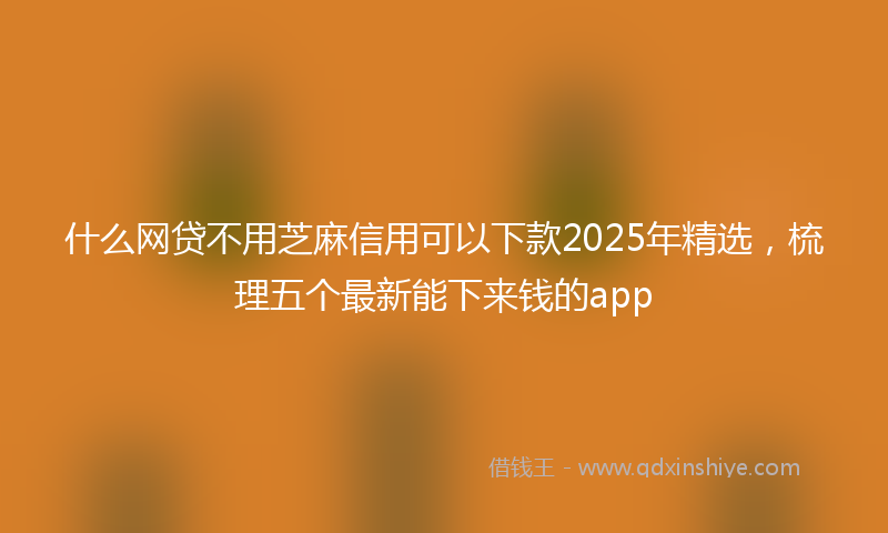 什么网贷不用芝麻信用可以下款2025年精选，梳理五个最新能下来钱的app