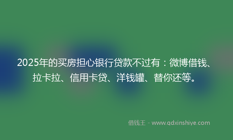 2025年的买房担心银行贷款不过有：微博借钱、拉卡拉、信用卡贷、洋钱罐、替你还等。