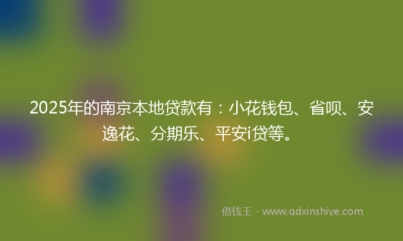 2025年的南京本地贷款有：小花钱包、省呗、安逸花、分期乐、平安i贷等。