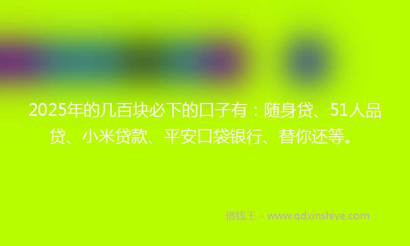 2025年的几百块必下的口子有：随身贷、51人品贷、小米贷款、平安口袋银行、替你还等。