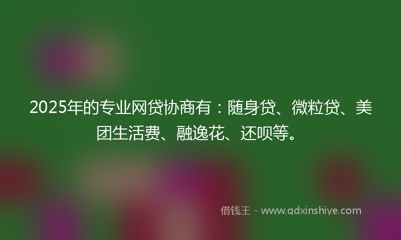 2025年的专业网贷协商有：随身贷、微粒贷、美团生活费、融逸花、还呗等。
