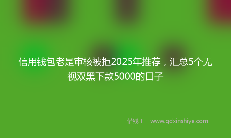 信用钱包老是审核被拒2025年推荐，汇总5个无视双黑下款5000的口子