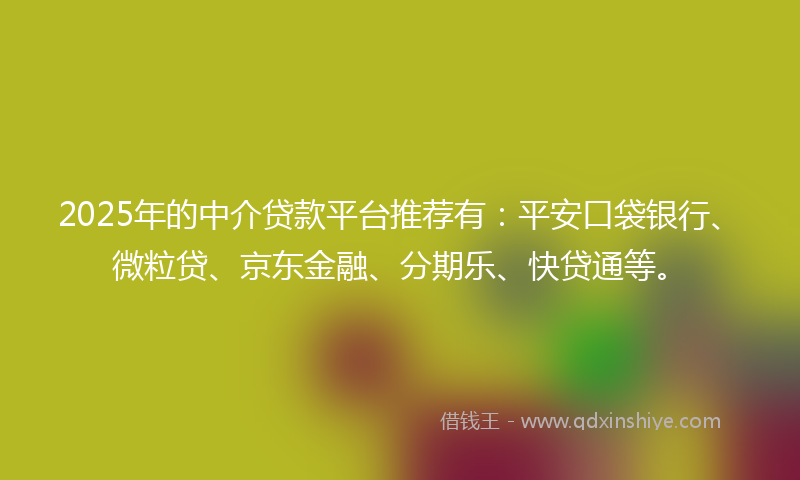 2025年的中介贷款平台推荐有：平安口袋银行、微粒贷、京东金融、分期乐、快贷通等。