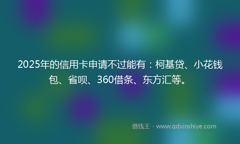 2025年的信用卡申请不过能有：柯基贷、小花钱包、省呗、360借条、东方汇等。