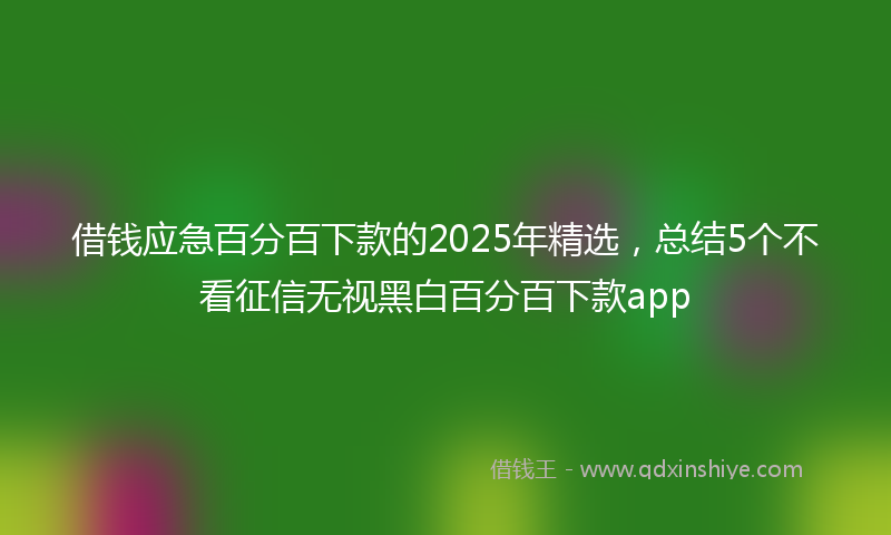 借钱应急百分百下款的2025年精选，总结5个不看征信无视黑白百分百下款app