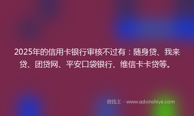 2025年的信用卡银行审核不过有：随身贷、我来贷、团贷网、平安口袋银行、维信卡卡贷等。