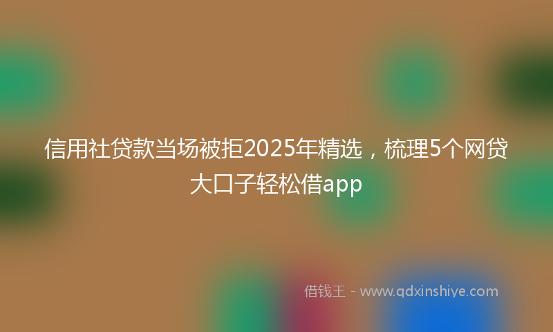 信用社贷款当场被拒2025年精选，梳理5个网贷大口子轻松借app