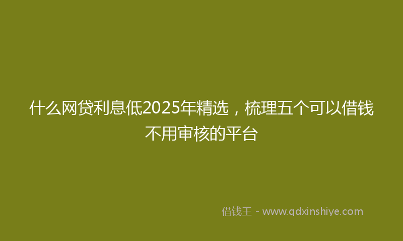 什么网贷利息低2025年精选，梳理五个可以借钱不用审核的平台