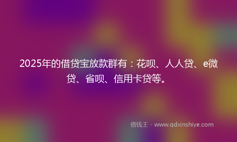 2025年的借贷宝放款群有：花呗、人人贷、e微贷、省呗、信用卡贷等。