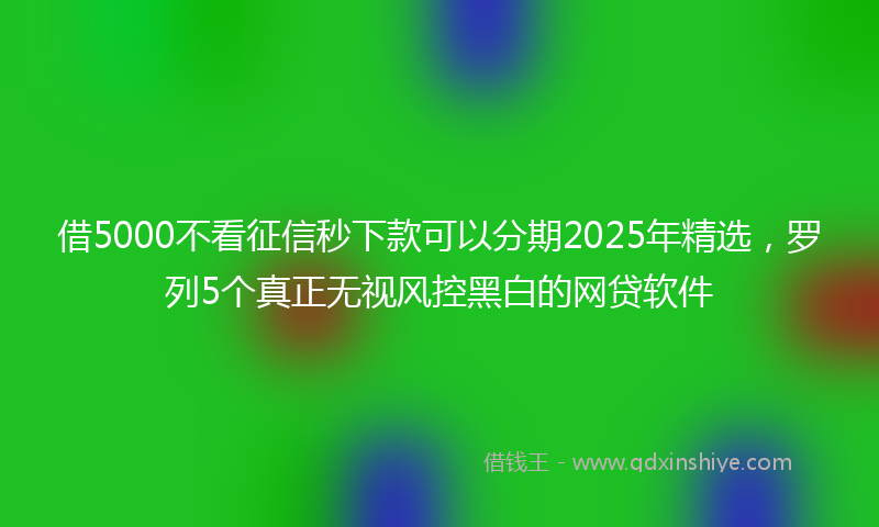 借5000不看征信秒下款可以分期2025年精选，罗列5个真正无视风控黑白的网贷软件