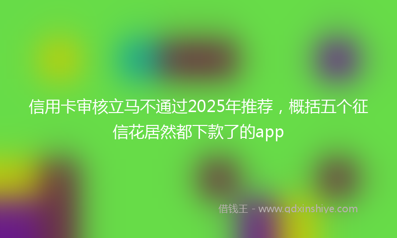 信用卡审核立马不通过2025年推荐，概括五个征信花居然都下款了的app