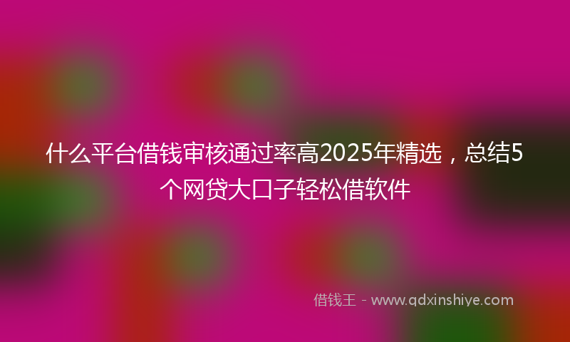 什么平台借钱审核通过率高2025年精选，总结5个网贷大口子轻松借软件