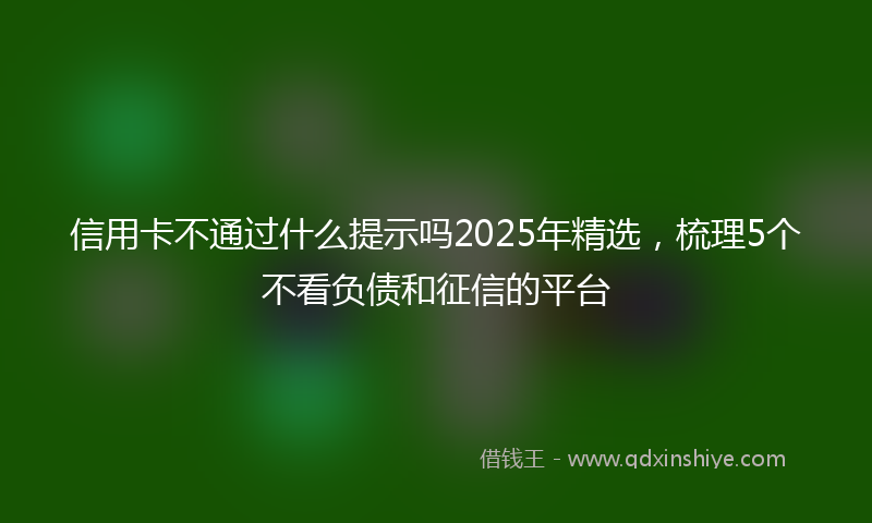 信用卡不通过什么提示吗2025年精选，梳理5个不看负债和征信的平台