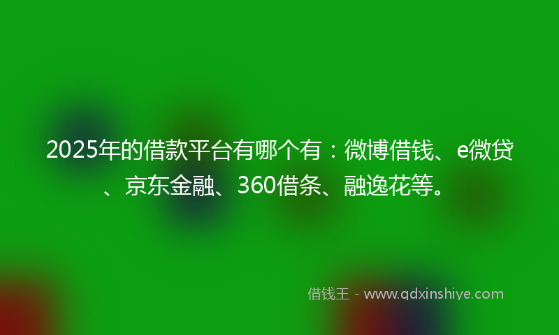2025年的借款平台有哪个有：微博借钱、e微贷、京东金融、360借条、融逸花等。