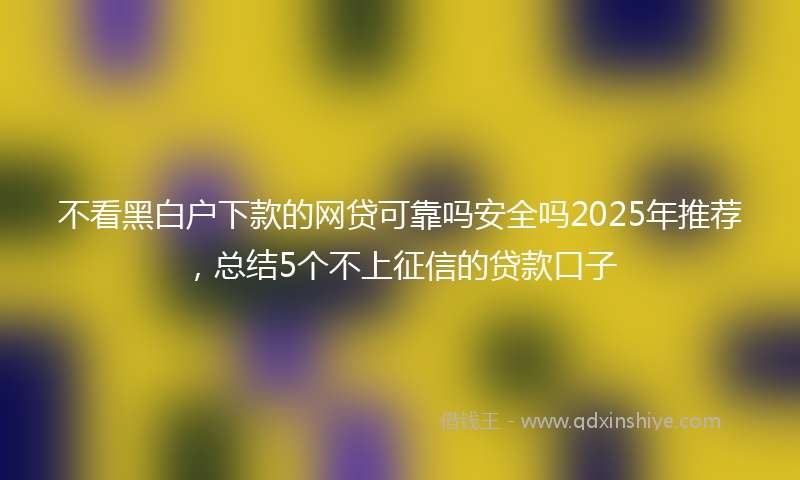 不看黑白户下款的网贷可靠吗安全吗2025年推荐，总结5个不上征信的贷款口子
