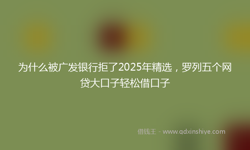 为什么被广发银行拒了2025年精选，罗列五个网贷大口子轻松借口子
