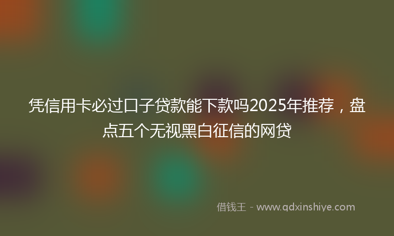 凭信用卡必过口子贷款能下款吗2025年推荐，盘点五个无视黑白征信的网贷