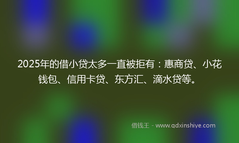 2025年的借小贷太多一直被拒有：惠商贷、小花钱包、信用卡贷、东方汇、滴水贷等。