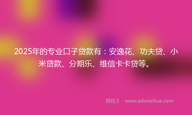 2025年的专业口子贷款有：安逸花、功夫贷、小米贷款、分期乐、维信卡卡贷等。