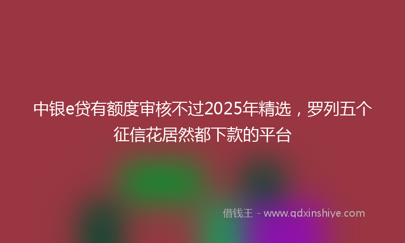 中银e贷有额度审核不过2025年精选，罗列五个征信花居然都下款的平台